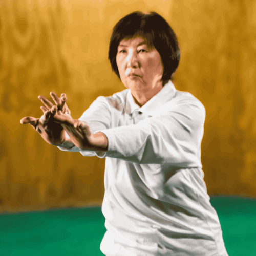 Clases de Nagaikiho en Coyoacán, Ciudad de México