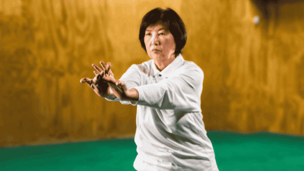 Clases de Nagaikiho en Coyoacán, Ciudad de México