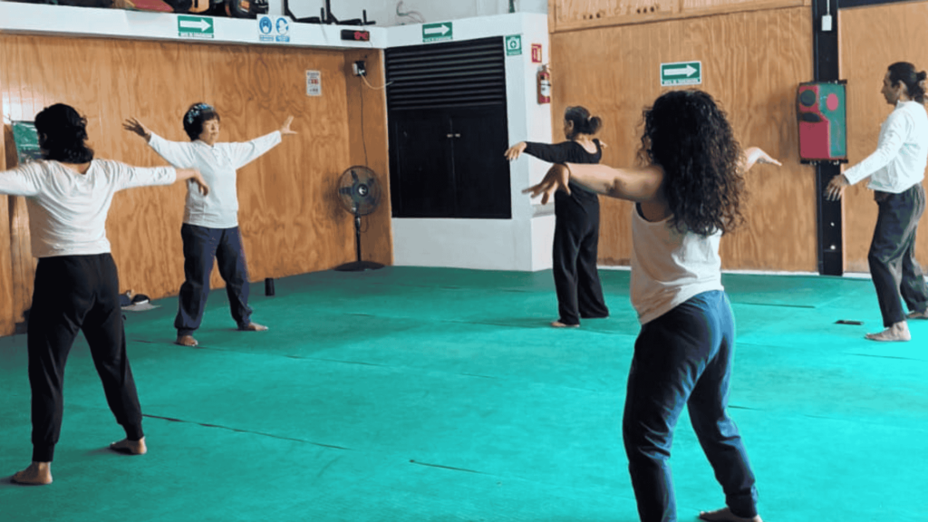 Clases de nagaikiho en Coyoacán, Ciudad de México