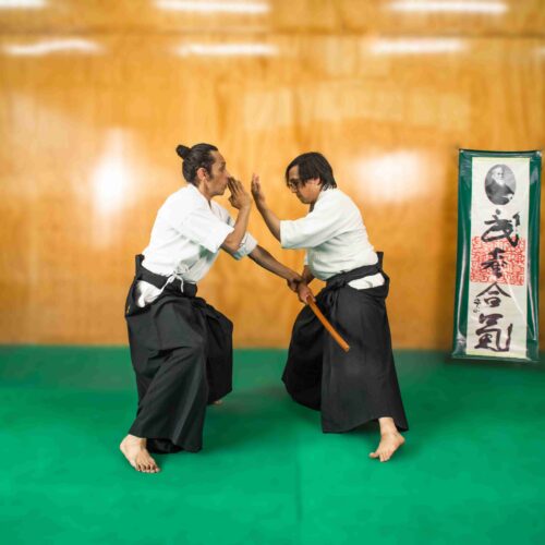 Clases de aikido en la Ciudad de México